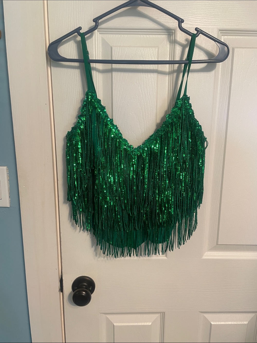 Amazing Lace Green Sequin Fringe Crop Top